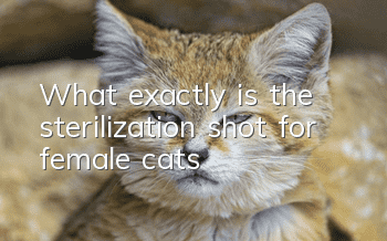 What exactly is the sterilization shot for female cats?