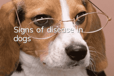 Signs of disease in dogs