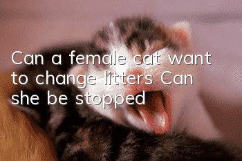 Can a female cat want to change litters? Can she be stopped?