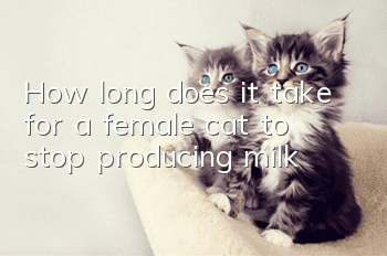 How long does it take for a female cat to stop producing milk?