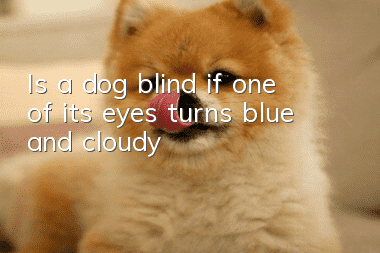 Is a dog blind if one of its eyes turns blue and cloudy?
