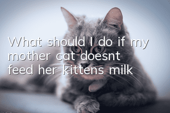 What should I do if my mother cat doesn’t feed her kittens milk?