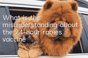 What is the misunderstanding about the 24-hour rabies vaccine?