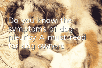 Do you know the symptoms of dog pleurisy? A must-read for dog owners!