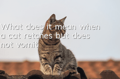 What does it mean when a cat retches but does not vomit?