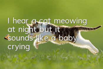 I hear a cat meowing at night, but it sounds like a baby crying