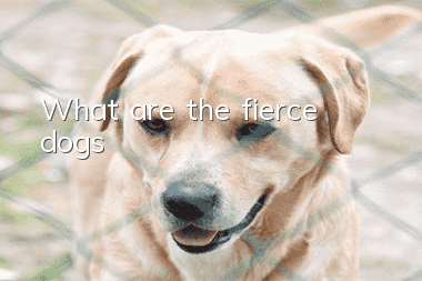 What are the fierce dogs?