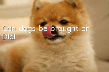 Can dogs be brought on Didi?