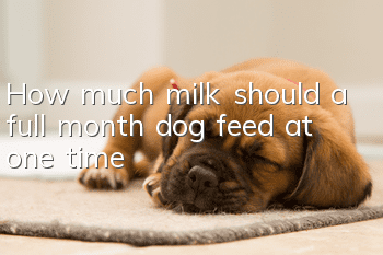 How much milk should a full month dog feed at one time?