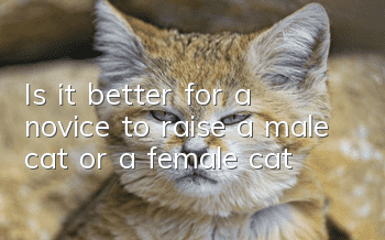 Is it better for a novice to raise a male cat or a female cat?