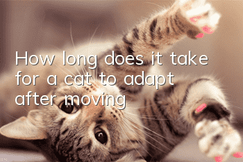 How long does it take for a cat to adapt after moving?