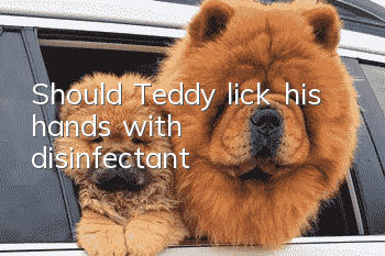 Should Teddy lick his hands with disinfectant?