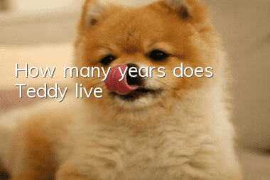 How many years does Teddy live?