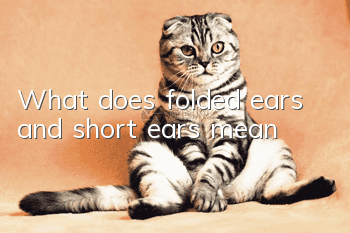What does folded ears and short ears mean?
