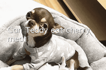 Can Teddy eat cherry meat?