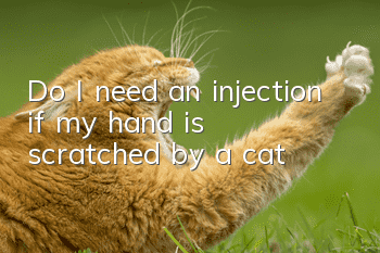 Do I need an injection if my hand is scratched by a cat?