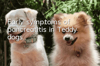 Early symptoms of pancreatitis in Teddy dogs