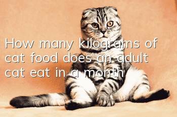 How many kilograms of cat food does an adult cat eat in a month?
