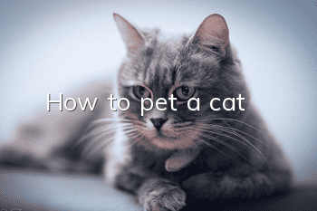How to pet a cat