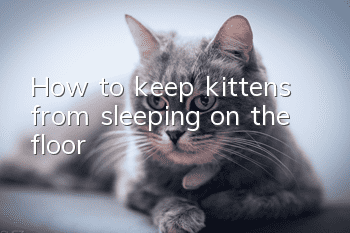 How to keep kittens from sleeping on the floor
