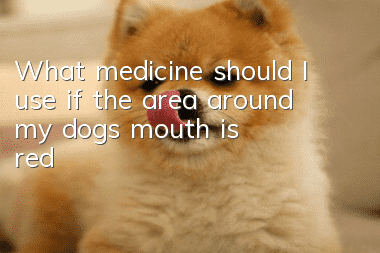 What medicine should I use if the area around my dog’s mouth is red?