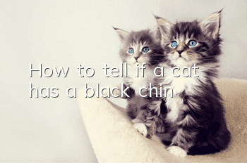 How to tell if a cat has a black chin