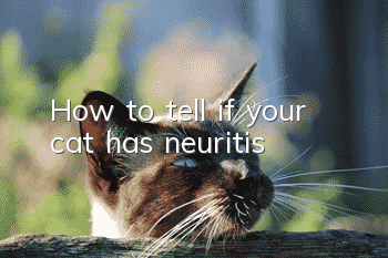 How to tell if your cat has neuritis