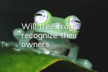 Will tree frogs recognize their owners?