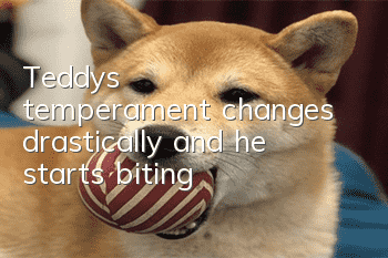 Teddy's temperament changes drastically and he starts biting
