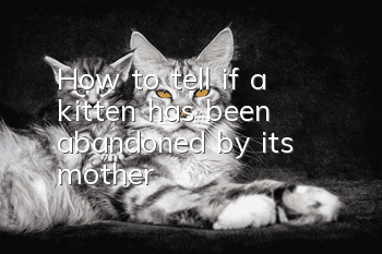 How to tell if a kitten has been abandoned by its mother