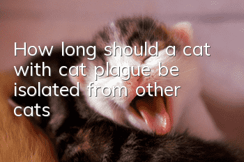 How long should a cat with cat plague be isolated from other cats?