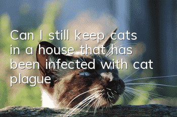 Can I still keep cats in a house that has been infected with cat plague?