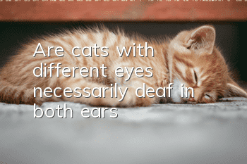 Are cats with different eyes necessarily deaf in both ears?