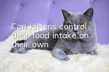 Can kittens control their food intake on their own?