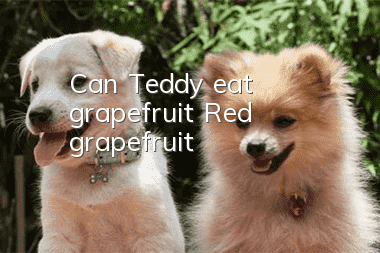 Can Teddy eat grapefruit? Red grapefruit