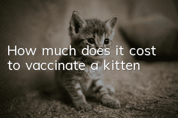 How much does it cost to vaccinate a kitten?