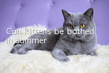Can kittens be bathed in summer?