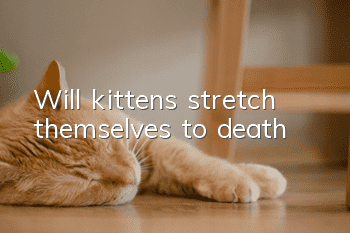 Will kittens stretch themselves to death?