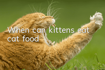 When can kittens eat cat food?