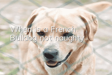 When is a French Bulldog not naughty?