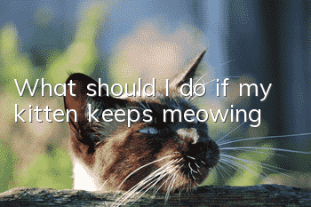 What should I do if my kitten keeps meowing?