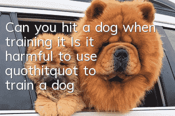 Can you hit a dog when training it? Is it harmful to use "hit" to train a dog?