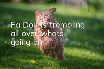Fa Dou is trembling all over, what's going on?