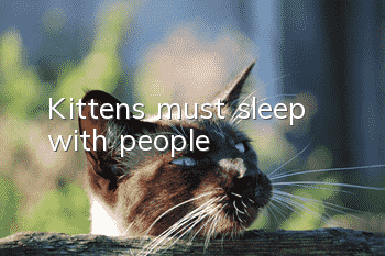 Kittens must sleep with people