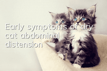 Early symptoms of dry cat abdominal distension