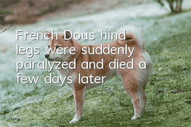 French Dou's hind legs were suddenly paralyzed and died a few days later