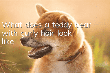 What does a teddy bear with curly hair look like?
