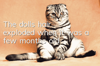 The doll's hair exploded when it was a few months old