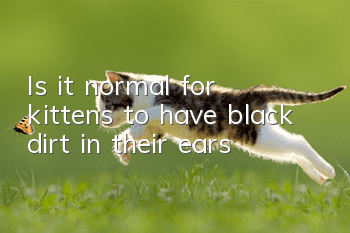 Is it normal for kittens to have black dirt in their ears?
