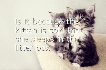 Is it because the kitten is cold that she sleeps in the litter box?